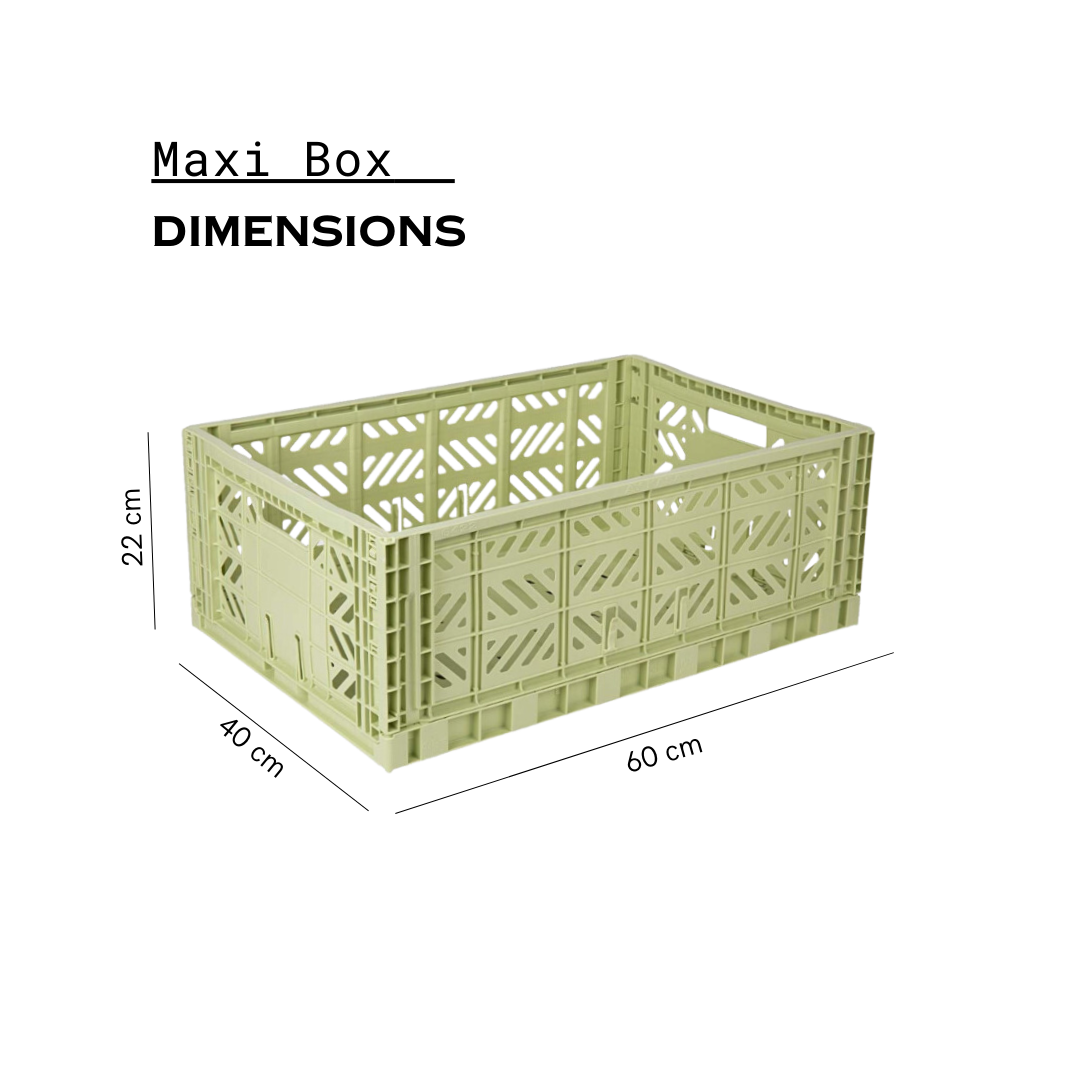 Maxi Box Lime Cream