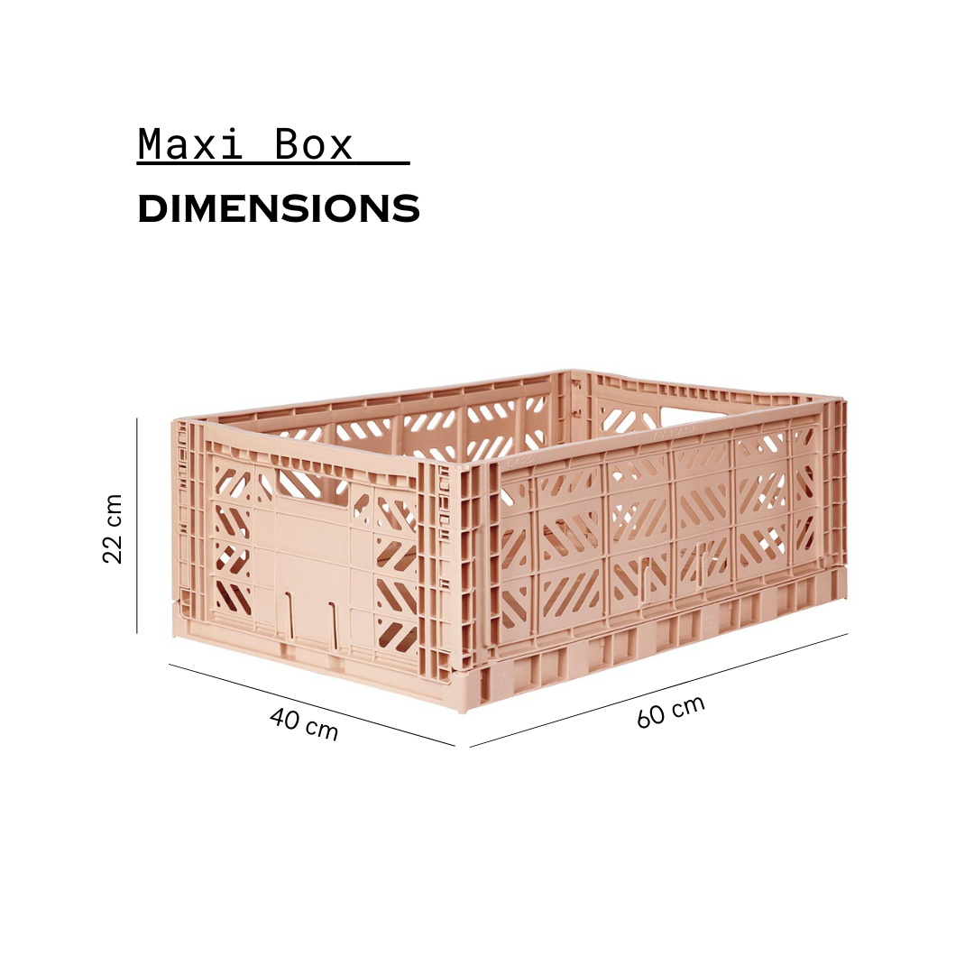 Maxi Box Milk Tea