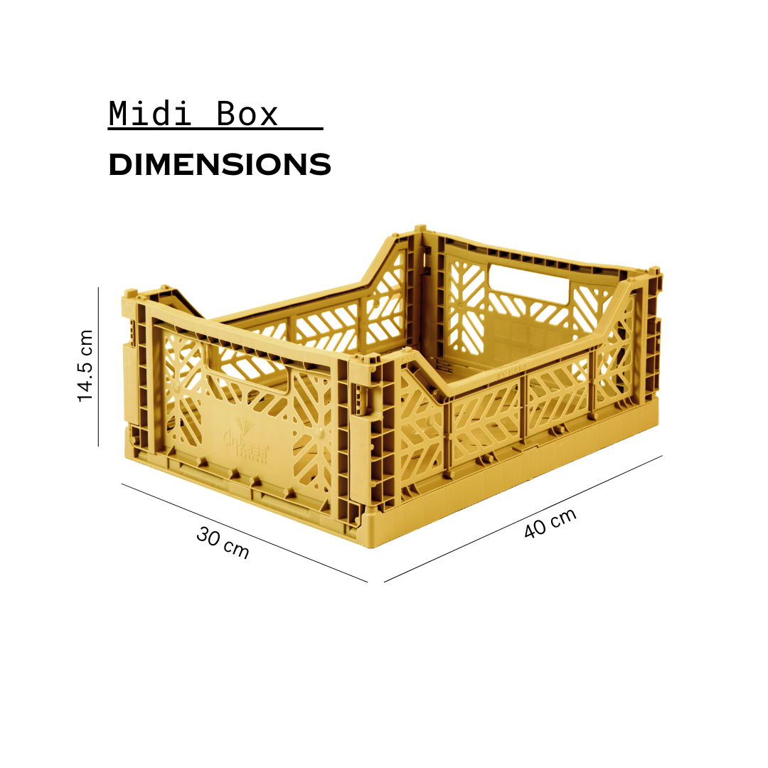 Midi Box Gold
