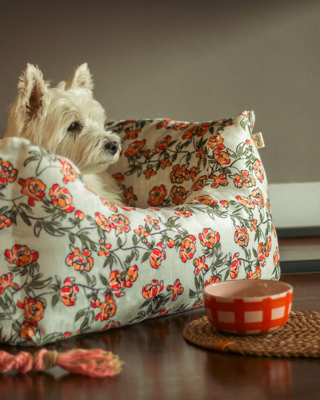 Bowl Picnic Rojo