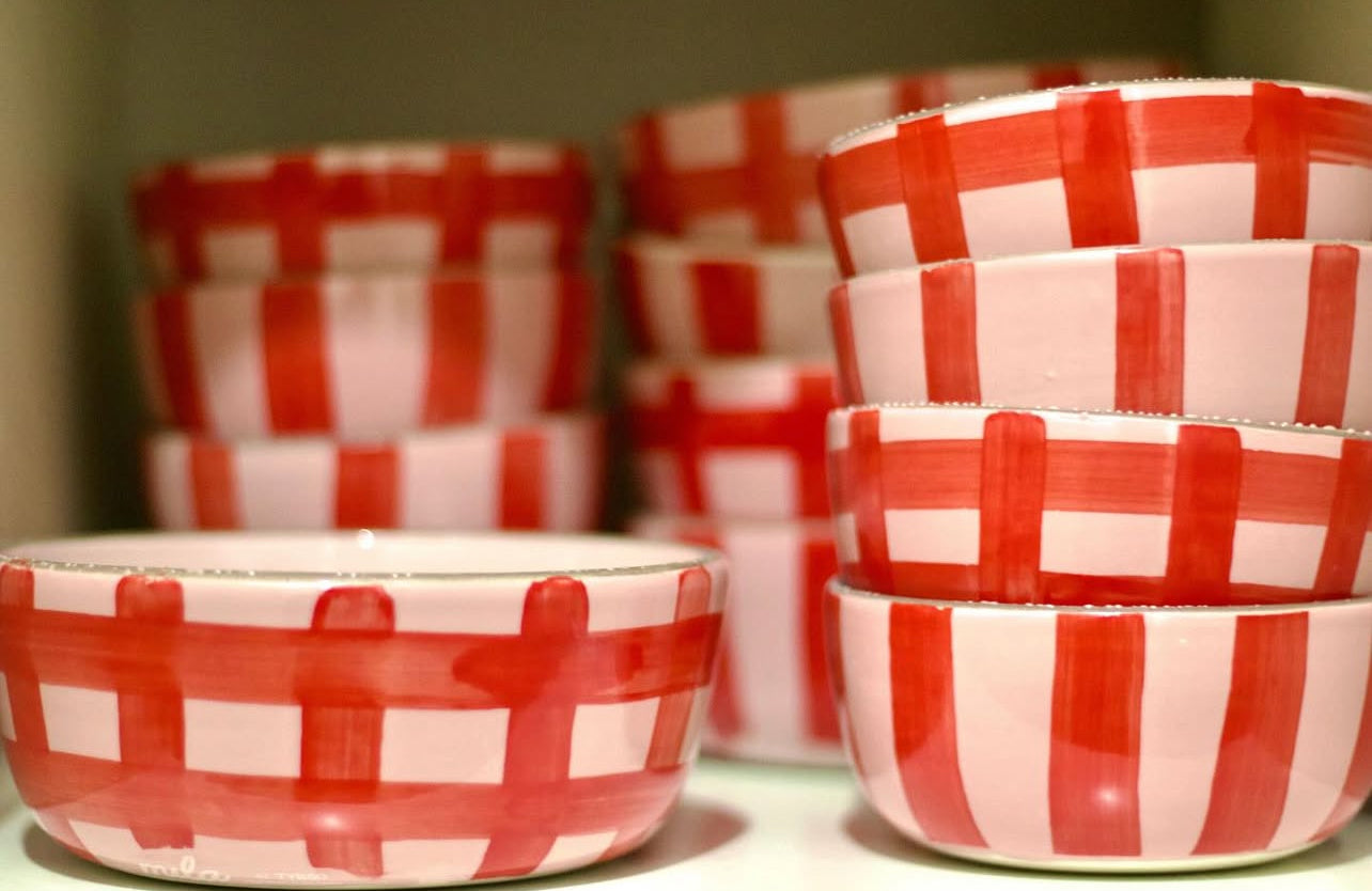 Bowl Picnic Rojo