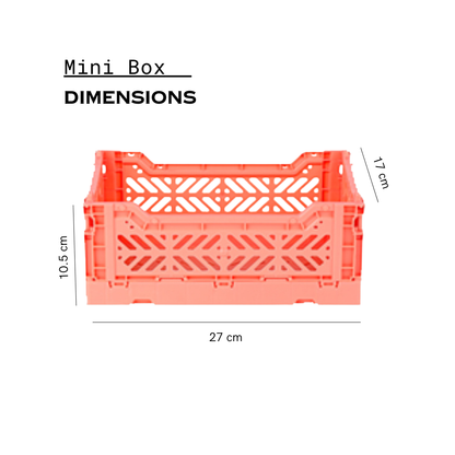 Mini Box Salmón