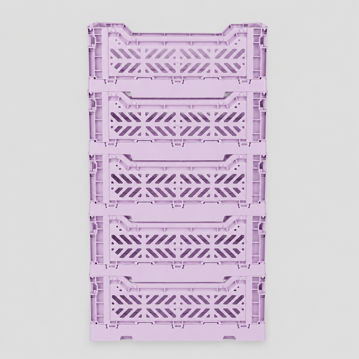 Set x 5 Orchid Mini Box