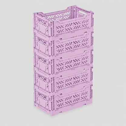 Set x 5 Orchid Mini Box