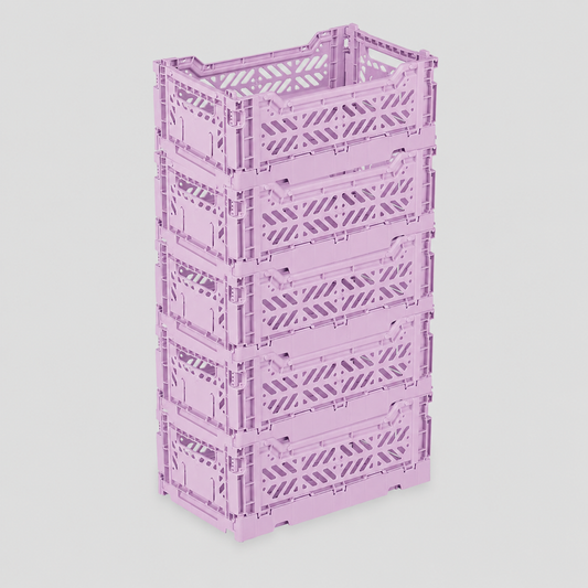 Set x 5 Orchid Mini Box