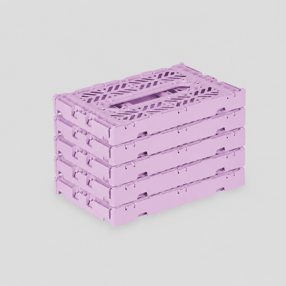 Set x 5 Orchid Mini Box