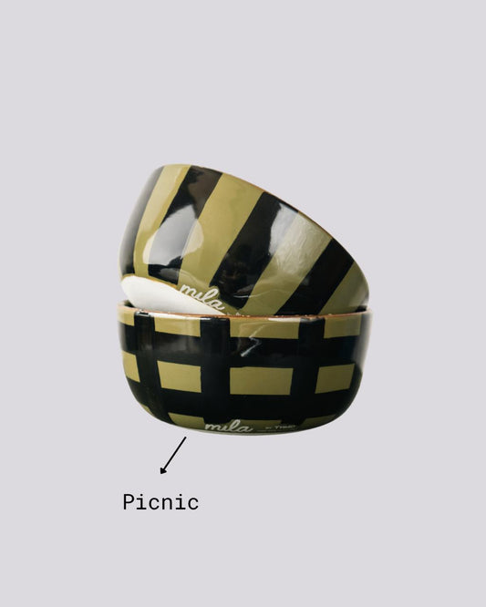 Bowl Picnic Verde