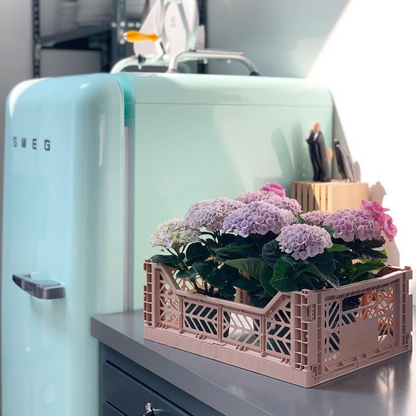 Midi Box Warm Taupe