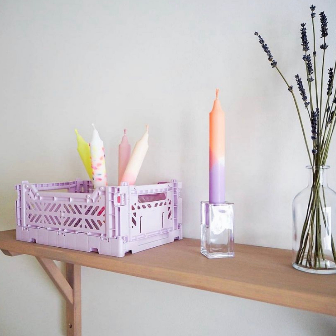 Mini Box Orchid