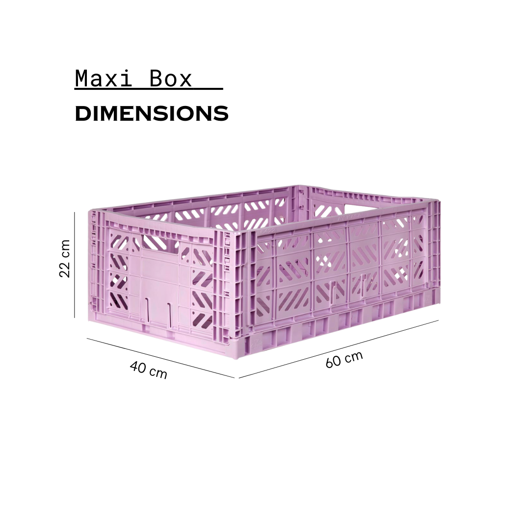 Maxi Box Orchid