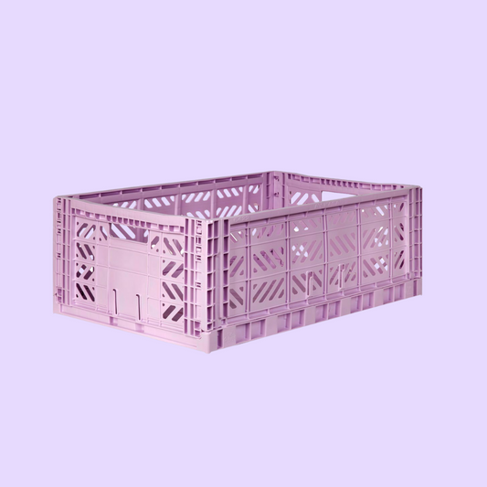 Maxi Box Orchid