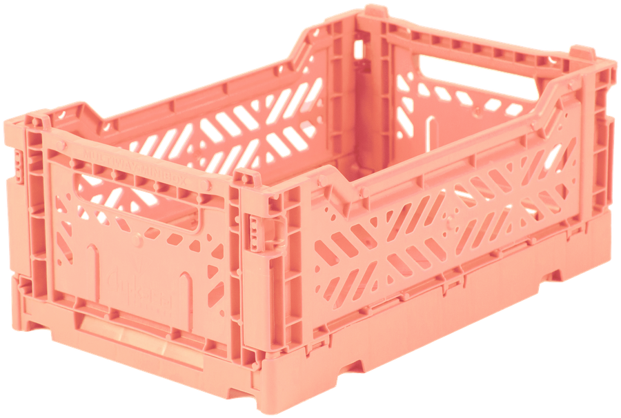 Mini Box Salmón